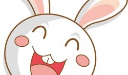 娱乐吃瓜酱兔圆圆,揭秘娱乐圈那些不为人知的幕后故事