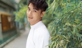 娱乐圈没瓜吃的日子,静悄悄的日子，幕后故事待揭晓