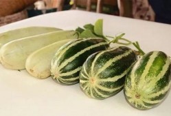 哪里可以吃网红瓜,探寻热门话题背后的美食之旅