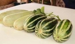 哪里可以吃网红瓜,探寻热门话题背后的美食之旅