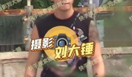 刘大锤爆料王九龙视频,揭秘幕后精彩瞬间