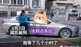 霸姐占车位爆料视频在线观看,一场车位争夺战背后的故事