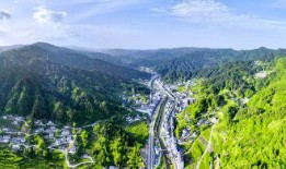 狮子山爆料时间最新新闻,最新独家新闻速递