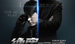 绝密跟踪 在线观看,揭秘神秘追踪者的惊险之旅