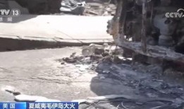 毛伊岛原住民爆料视频,揭秘神秘文化传承与生态危机