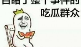 娱乐吃瓜小象小说免费阅读,揭秘娱乐圈背后的秘密